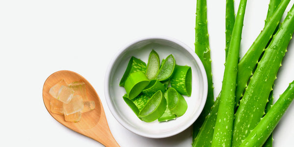 Ingredient_Rollovers_AloeVera
