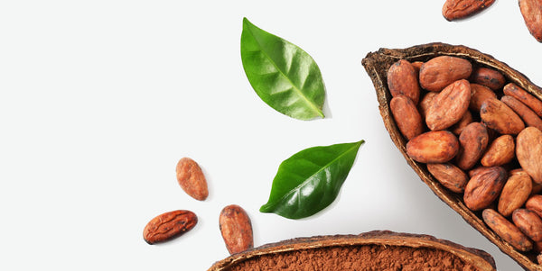 Ingredient_Rollovers_Cocoa