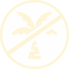 palmoil_icon